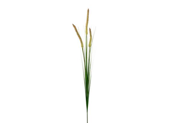 Umelá Rastlina Penisetumgras - zelená, Basics, plast (92cm) Umelá Rastlina Penisetumgras - zelená, Basics, plast (92cm)