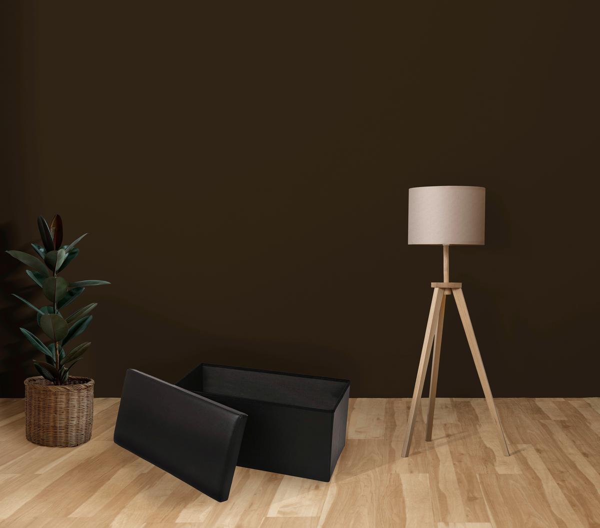 Sitztruhe Seatbox Schwarz L: 76 cm Lederlook mit Stauraum - Schwarz, Basics, Kunststoff (76/38/38cm) - Echtwerk