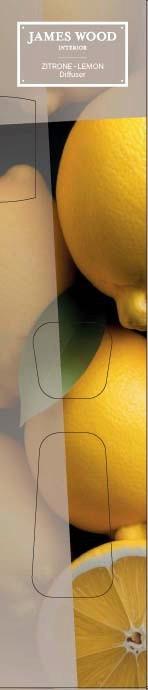 Diffuser Zitrone - Naturfarben, Basics (5/24cm) - James Wood
