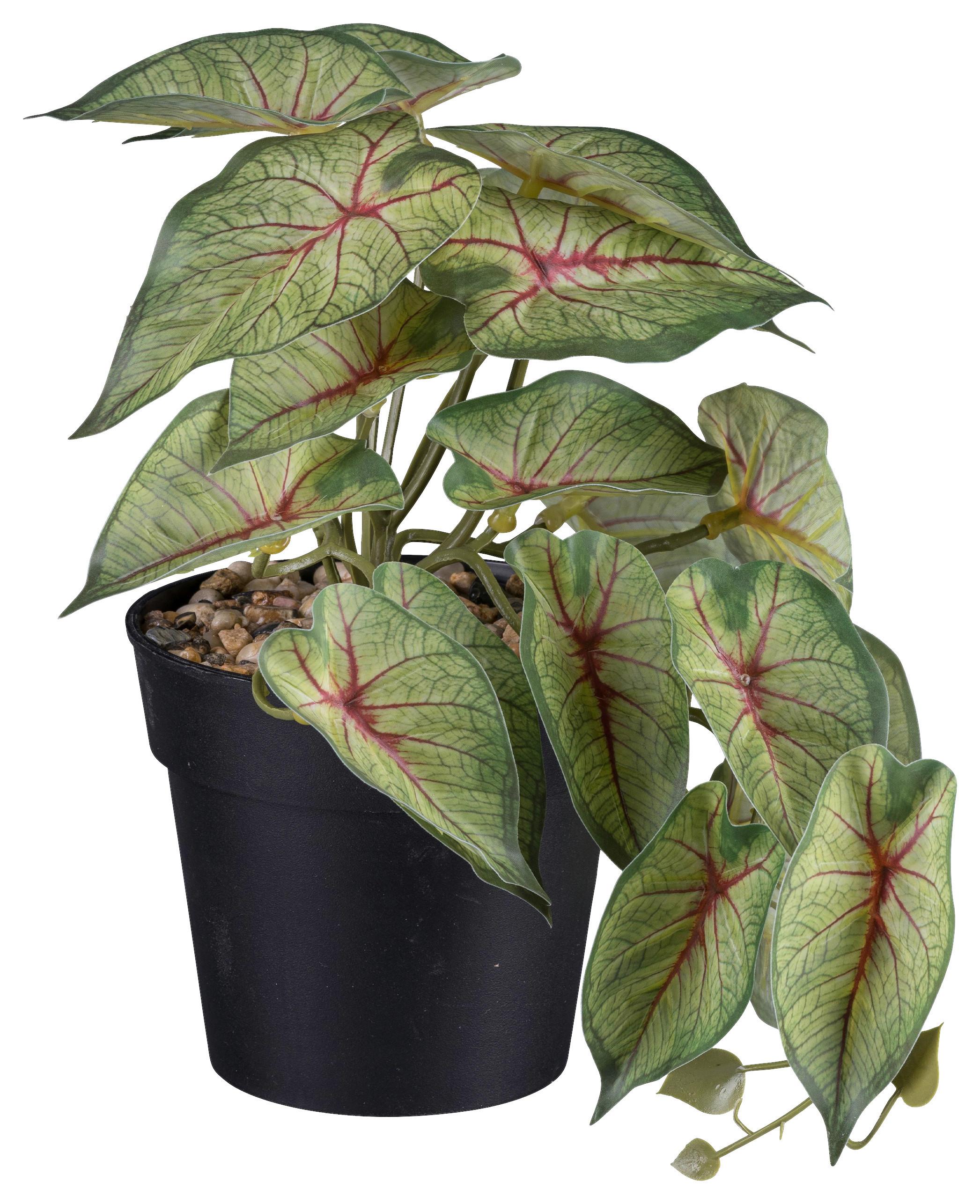 Umelá rastlina V: 19cm - čierna/zelená, Basics, plast (19cm) - Modern Living