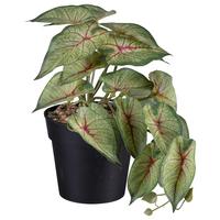 Umělá rostlina V: 19cm - černá/zelená, Basics, plast (19cm) - Modern Living