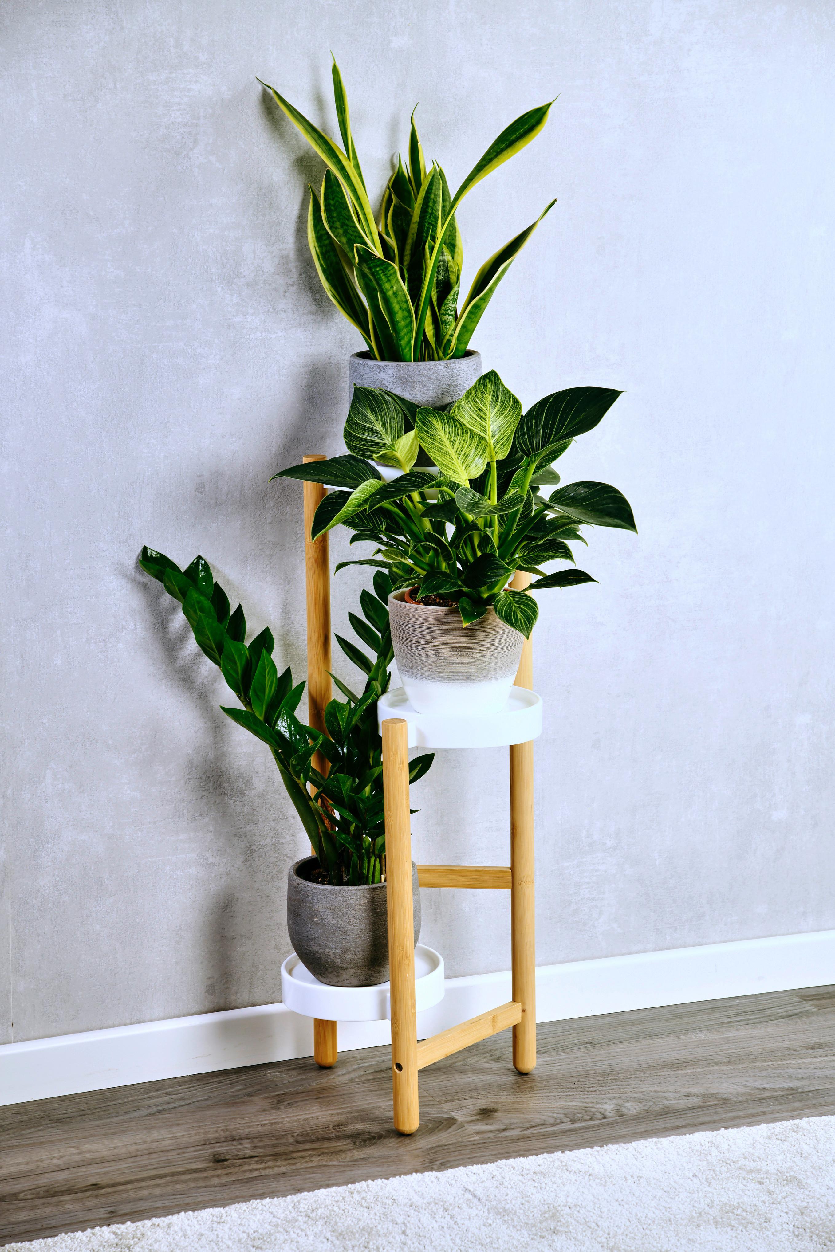 Blumenständer Bambus, Weiß, Braun, BxHxT: 28x70x34 cm - Braun/Weiß, Basics, Holz/Kunststoff (28/70/34cm) - Kesper