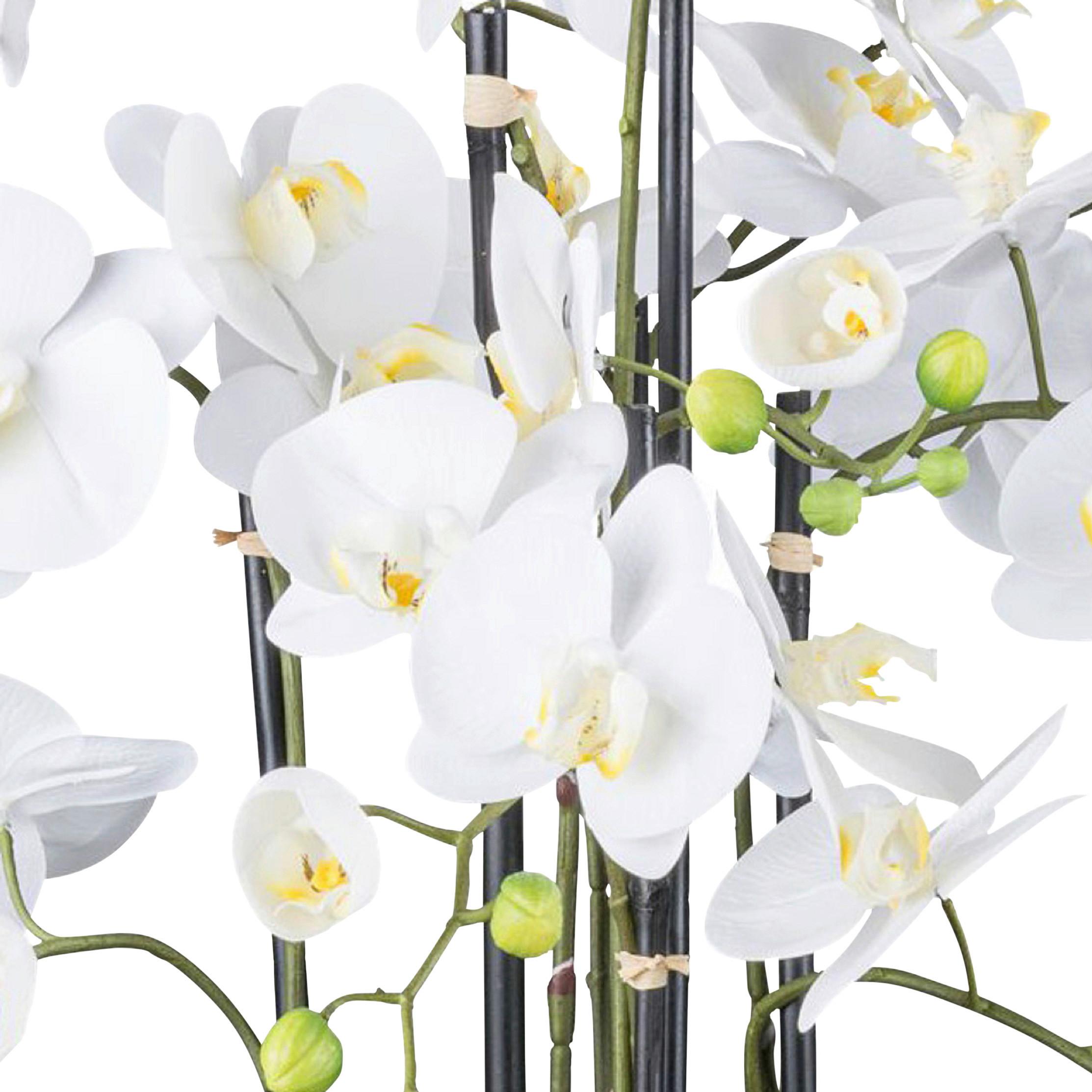 Kunstpflanze Orchidee H: 93 Cm - Weiß/Grün, Design, Kunststoff (93cm) - P & B