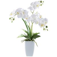 Kunstpflanze Phalaenopsis - Weiß/Grün, Basics, Keramik/Kunststoff (67cm)