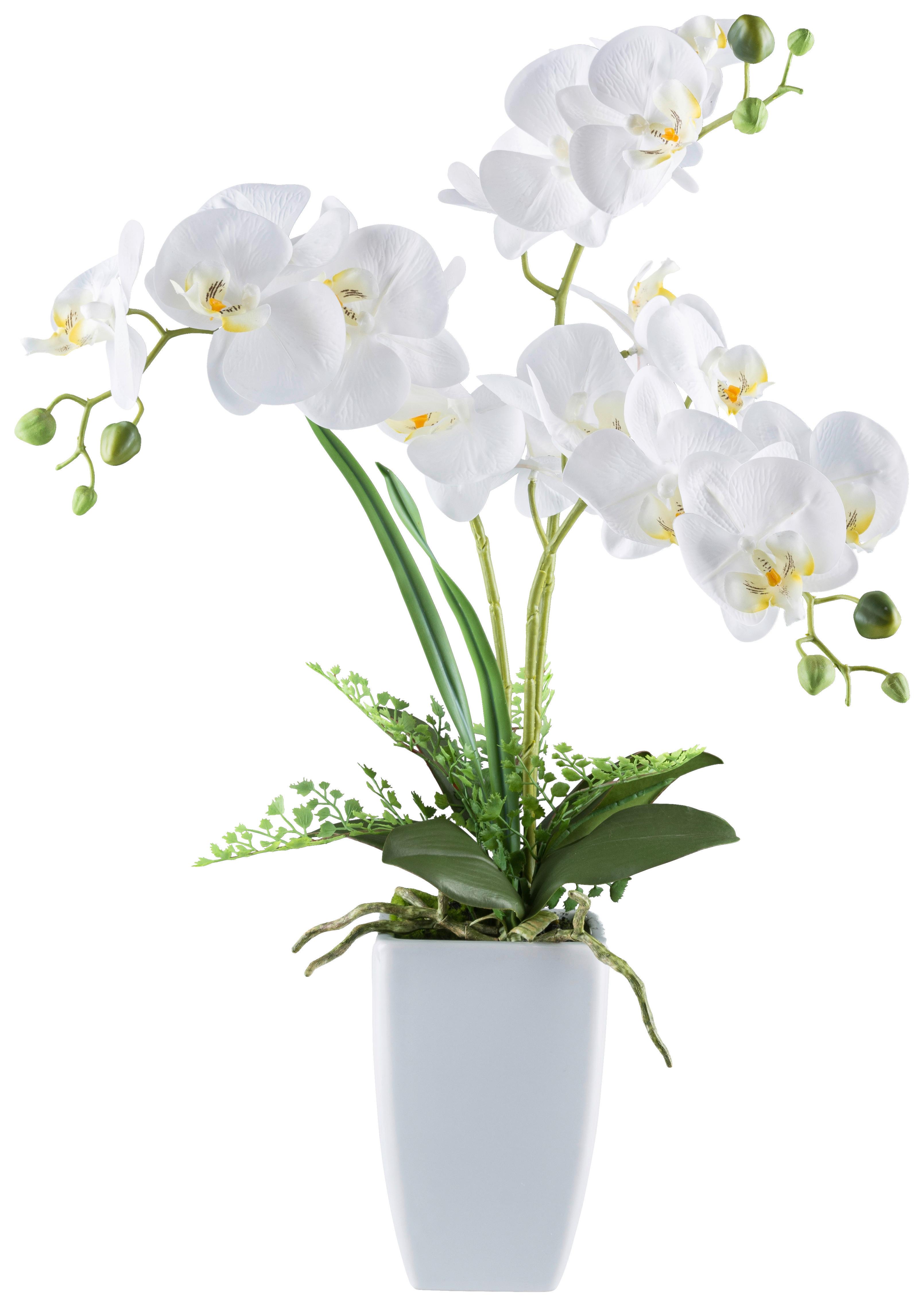 Kunstpflanze Phalaenopsis