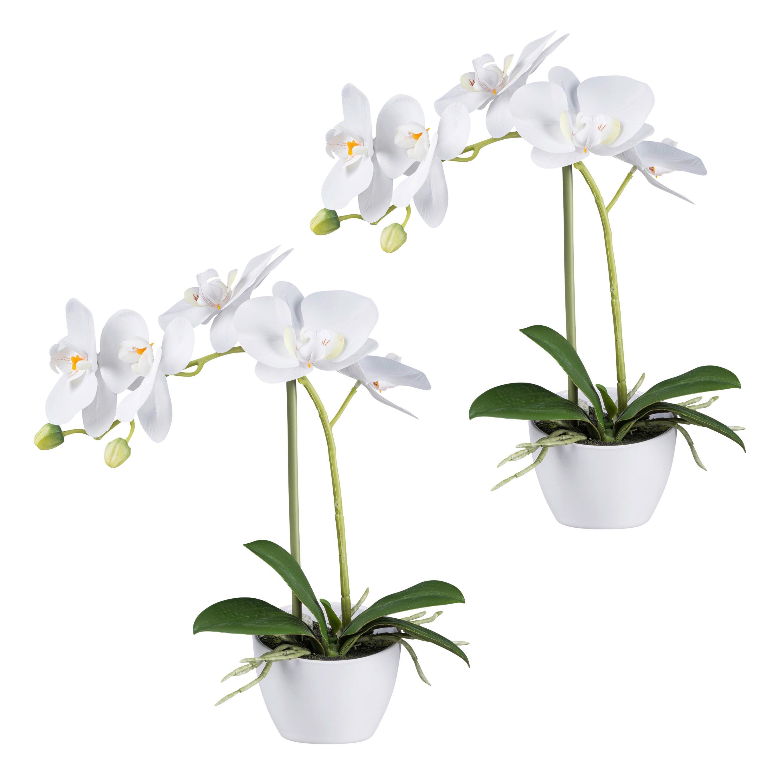 Kunstpflanze Orchideen Weiß, Topf: Weiß, H: 33 cm - Weiß/Grün, Design, Kunststoff (33cm) - P & B