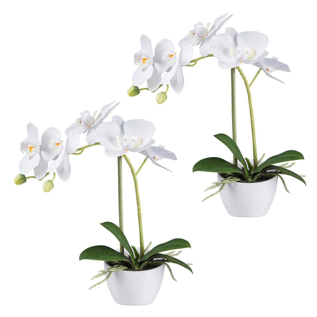 Kunstpflanze Orchideen Weiß, Topf: Weiß, H: 33 cm - Weiß/Grün, Design, Kunststoff (33cm) - P & B