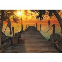 Fototapete 8-918 - Gelb/Braun, Natur, Papier (368/254cm) - Komar