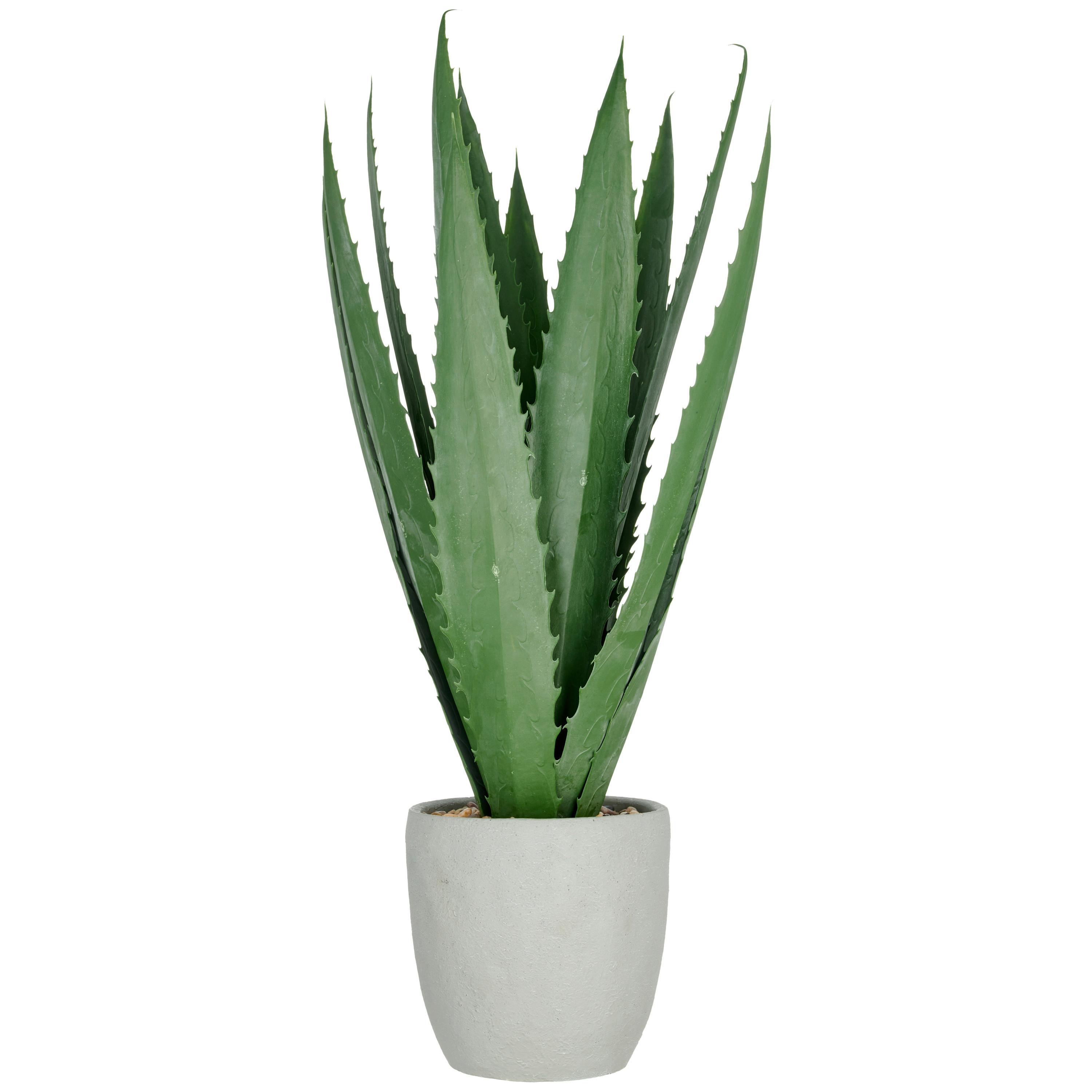 AGAVE Grün B: 60 cm - Grün, Basics, Kunststoff (80cm)