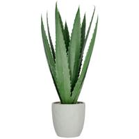 AGAVE Grün B: 60 cm - Grün, Basics, Kunststoff (80cm)