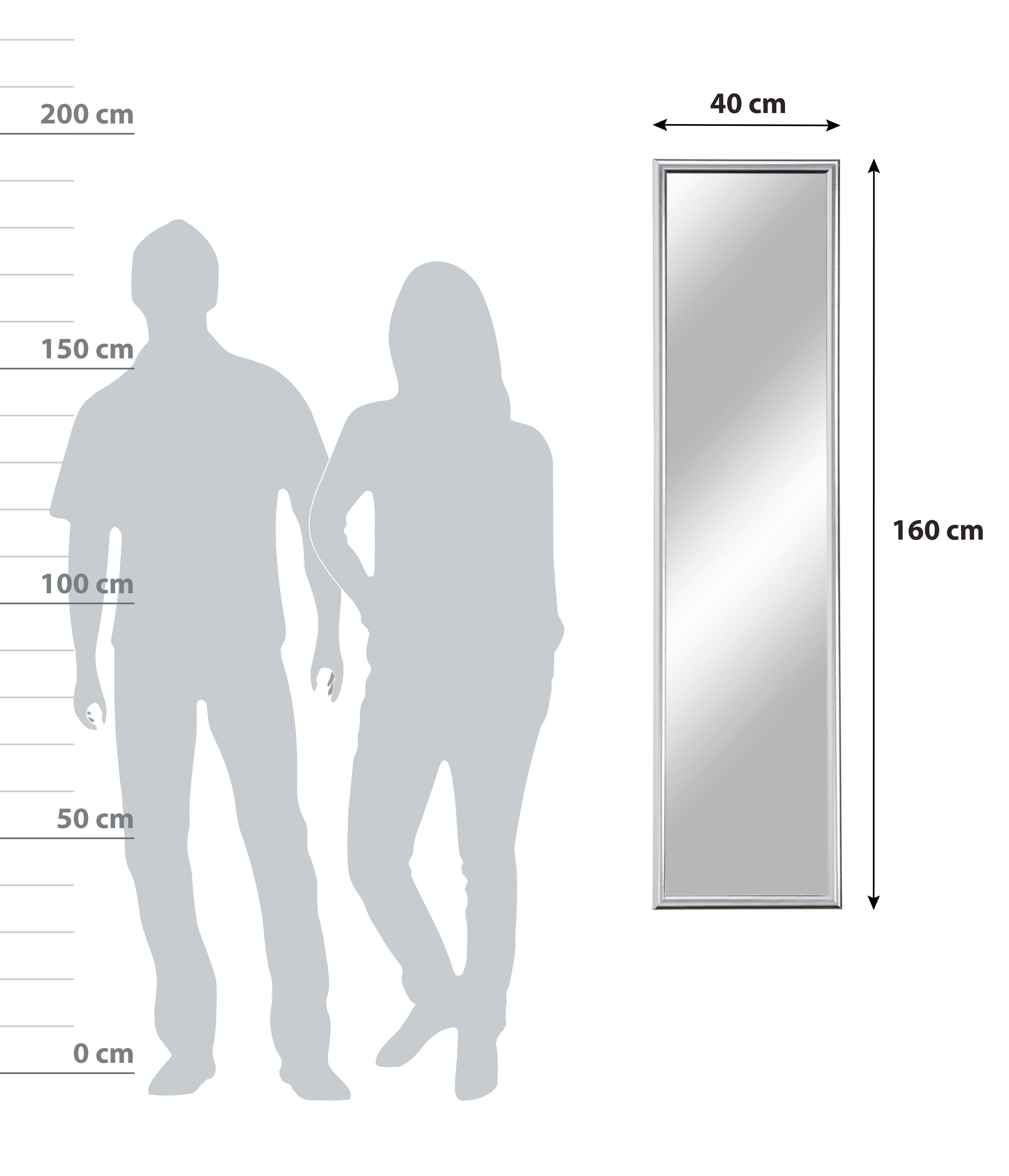 Nástěnné Zrcadlo Fumo - barvy stříbra, Moderní, sklo (40/160cm)