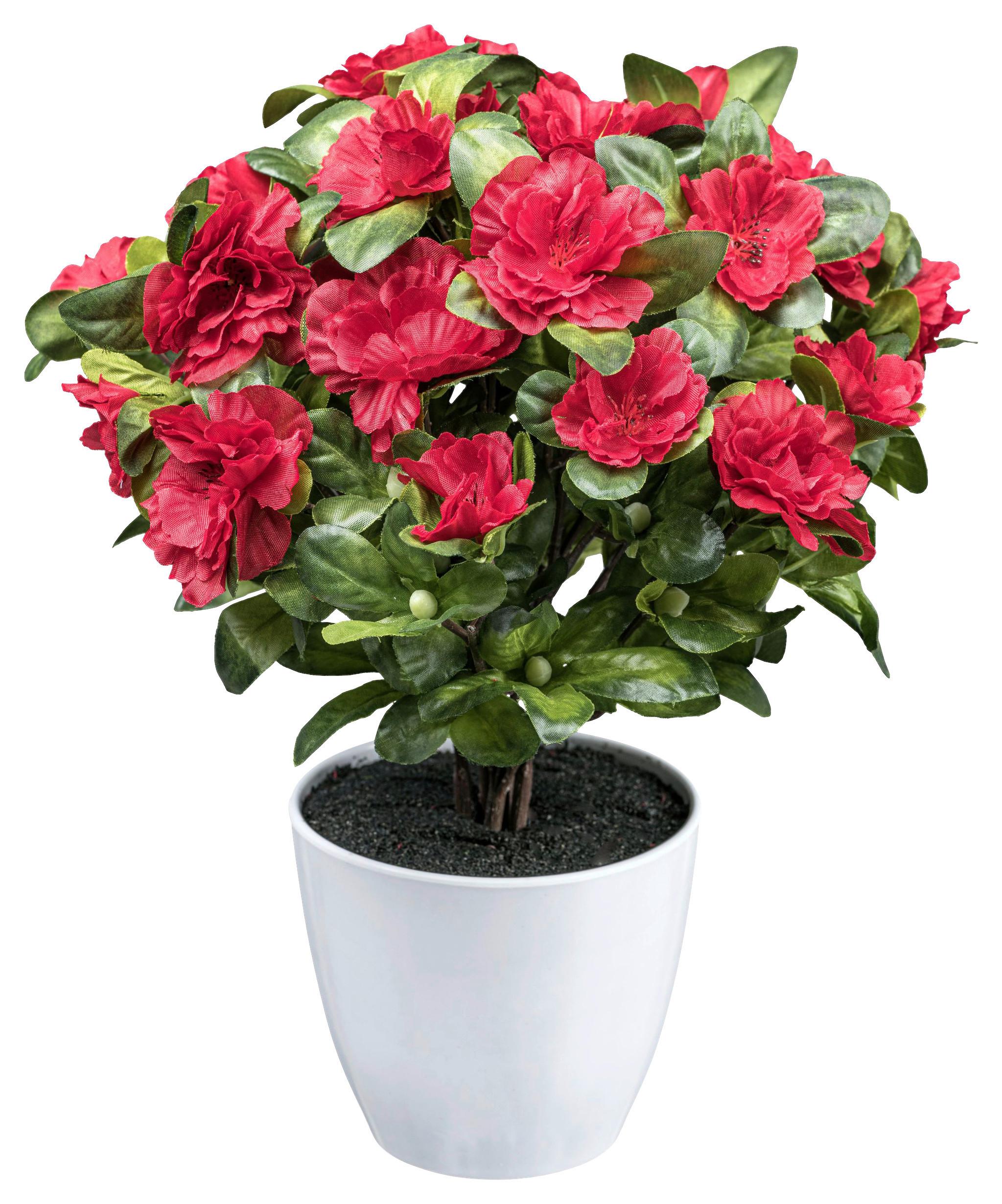 Kunstpflanze Blühpflanzen Rot/Grün/Weiß, 32 cm - Rot/Weiß, Design, Kunststoff (32cm) - P & B