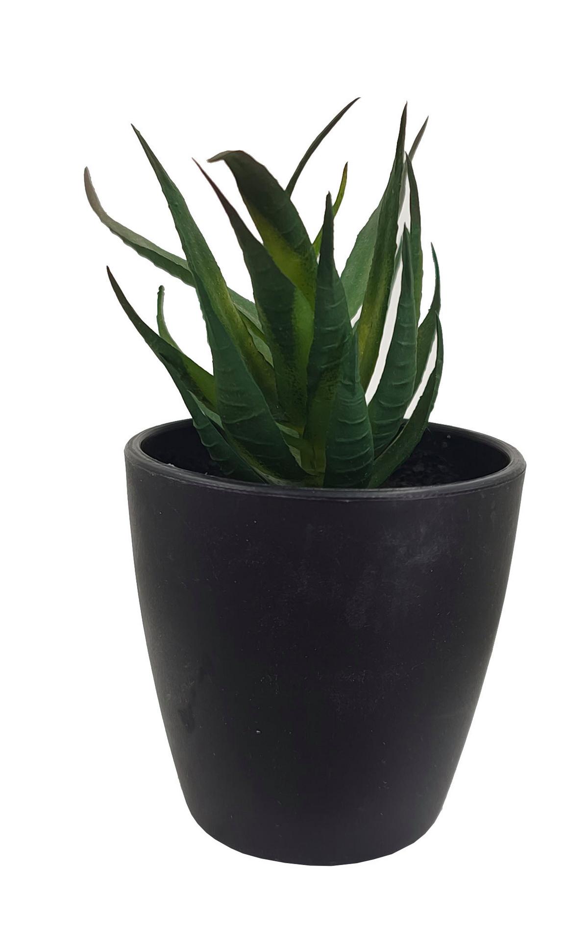 Kunstpflanze Isabella - Weiß/Grün, MODERN, Kunststoff (8/9-16cm) - Luca Bessoni