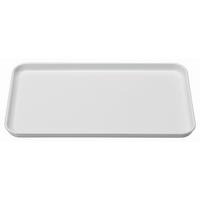 Tablett Aus Kunststoff Britta 30x18 Cm, Weiß - Weiß, KONVENTIONELL, Kunststoff (30/18/2cm)