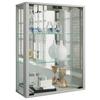 Hängevitrine Udina Silberfarben B: 60 Cm - Silberfarben/Schwarz, MODERN, Glas/Holz (60/80/25cm) - MID.YOU