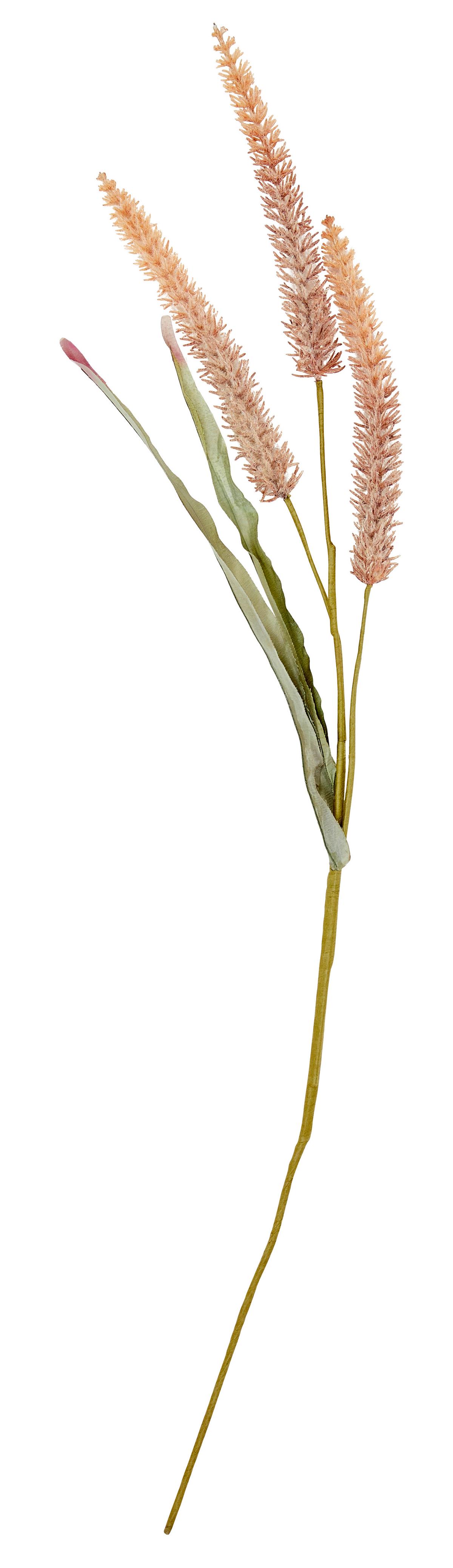 Kunstpflanze Trockenblume L: 90 cm, Eboni - Multicolor, Basics, Papier/Kunststoff (90cm) - Luca Bessoni