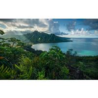 Fototapete Jurassic Island - Multicolor, Trend, Textil (450/280cm)