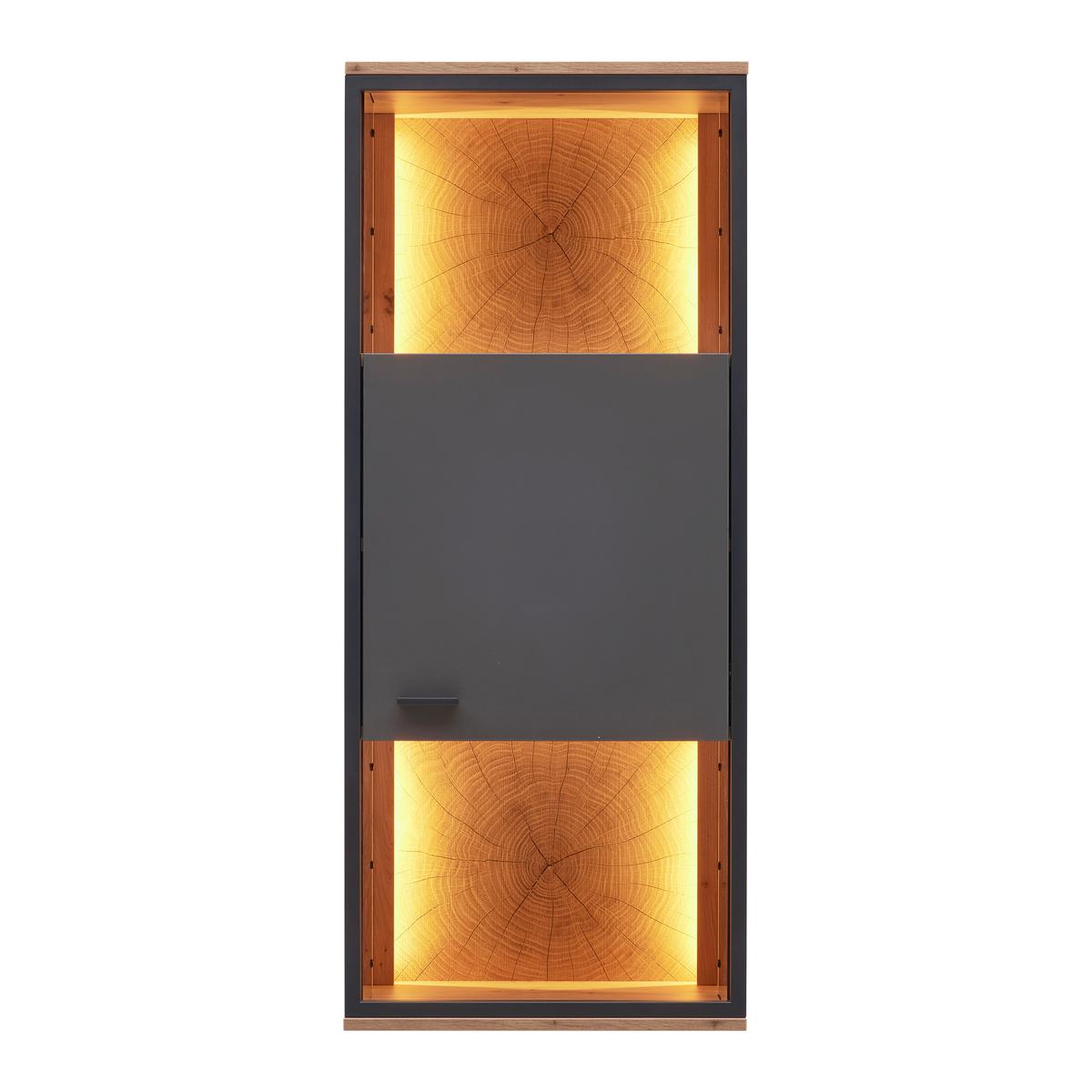 ZÁVĚSNÁ VITRÍNA FLORENZ - šedá/černá, Moderní, kov/kompozitní dřevo (50/119,9/38cm) - Premium Living