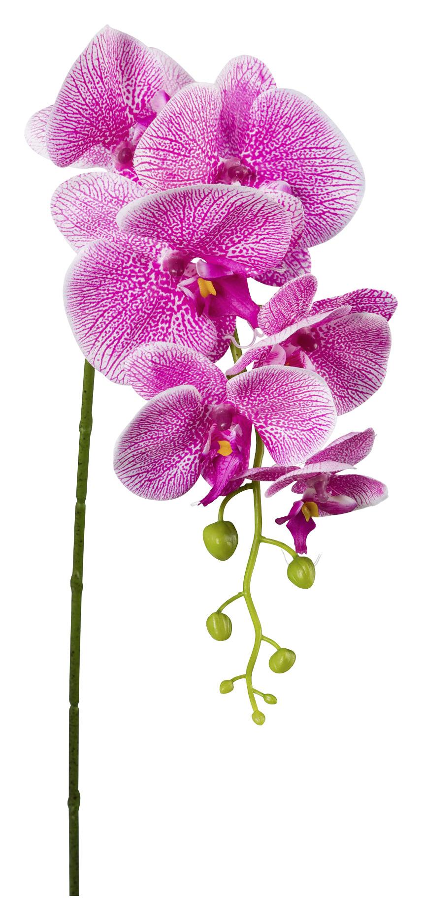 Kunstpflanze Orchidee Rosa L: 86 cm, Ria - Pink/Grün, Natur, Kunststoff (86cm)