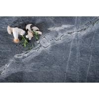 Naturstein Leather Look Naturstein Atlantis - Hellgrau, MODERN, Stein - Strasser