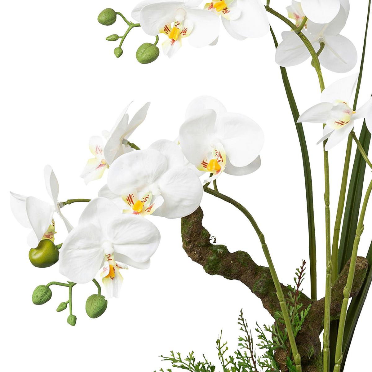 Kunstpflanze Orchideen Weiß, Topf: Weiß, H: 46 cm - Weiß/Grün, Design, Keramik/Kunststoff (46cm) - P & B