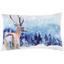 Polštář Ozdobný Wintertraum - světle šedá/světle modrá, textil (30/50cm) - Mömax modern living