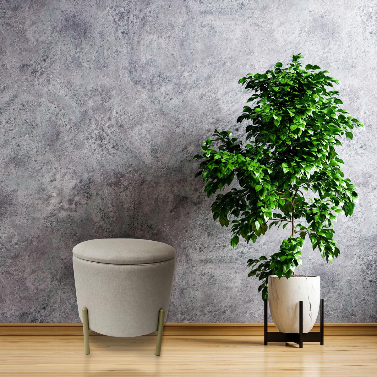 Hocker Logan Samt Creme Sitz Gepolstert - Goldfarben/Creme, Design, Textil (36/40/36cm) - Echtwerk