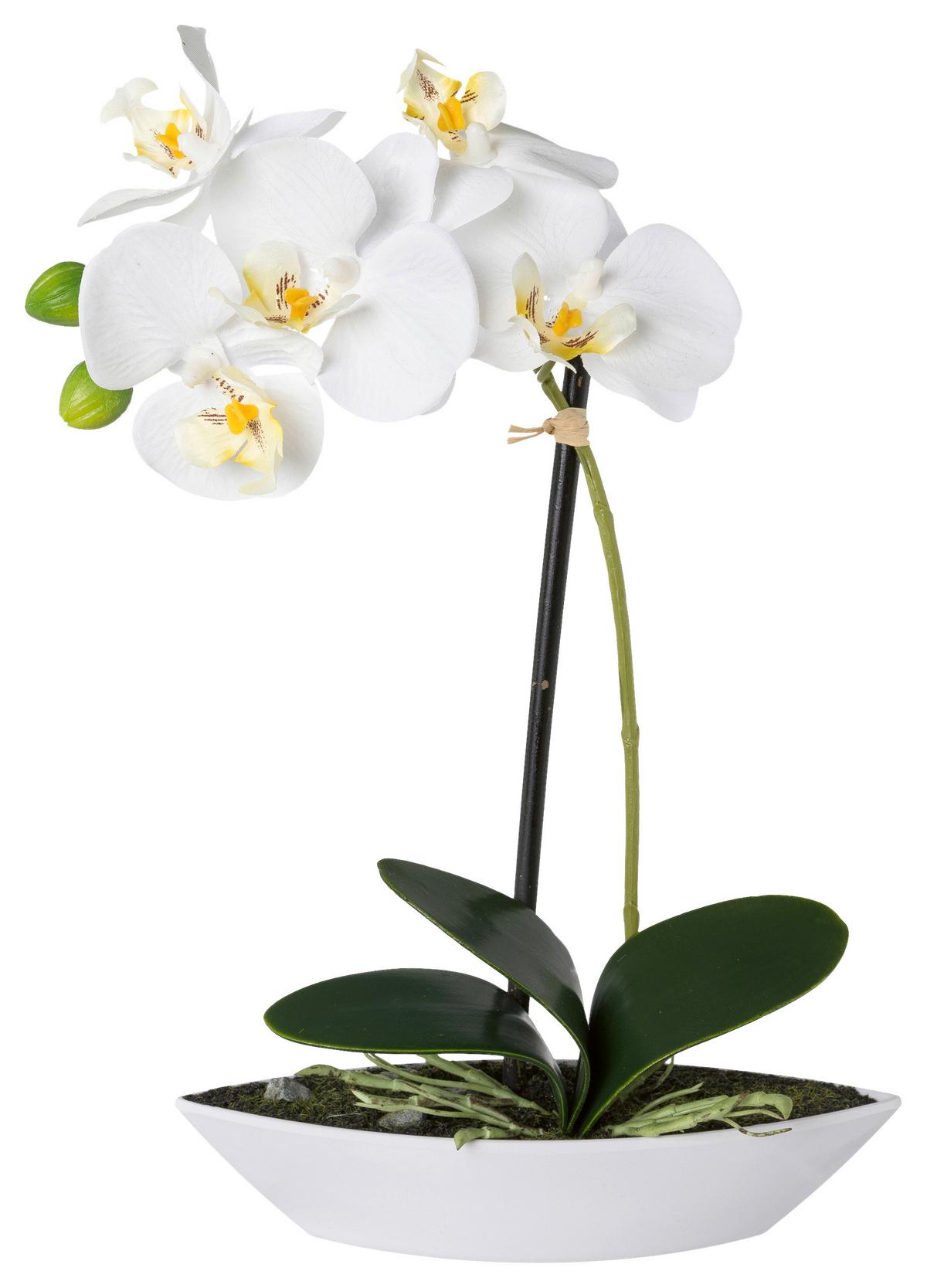 Kunstpflanze Orchideen Weiß, Topf: Weiß, H: 30 cm - Weiß/Grün, Design, Keramik/Kunststoff (30cm)