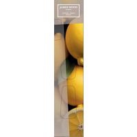 Diffuser Zitrone - Naturfarben, Basics (5/24cm) - James Wood