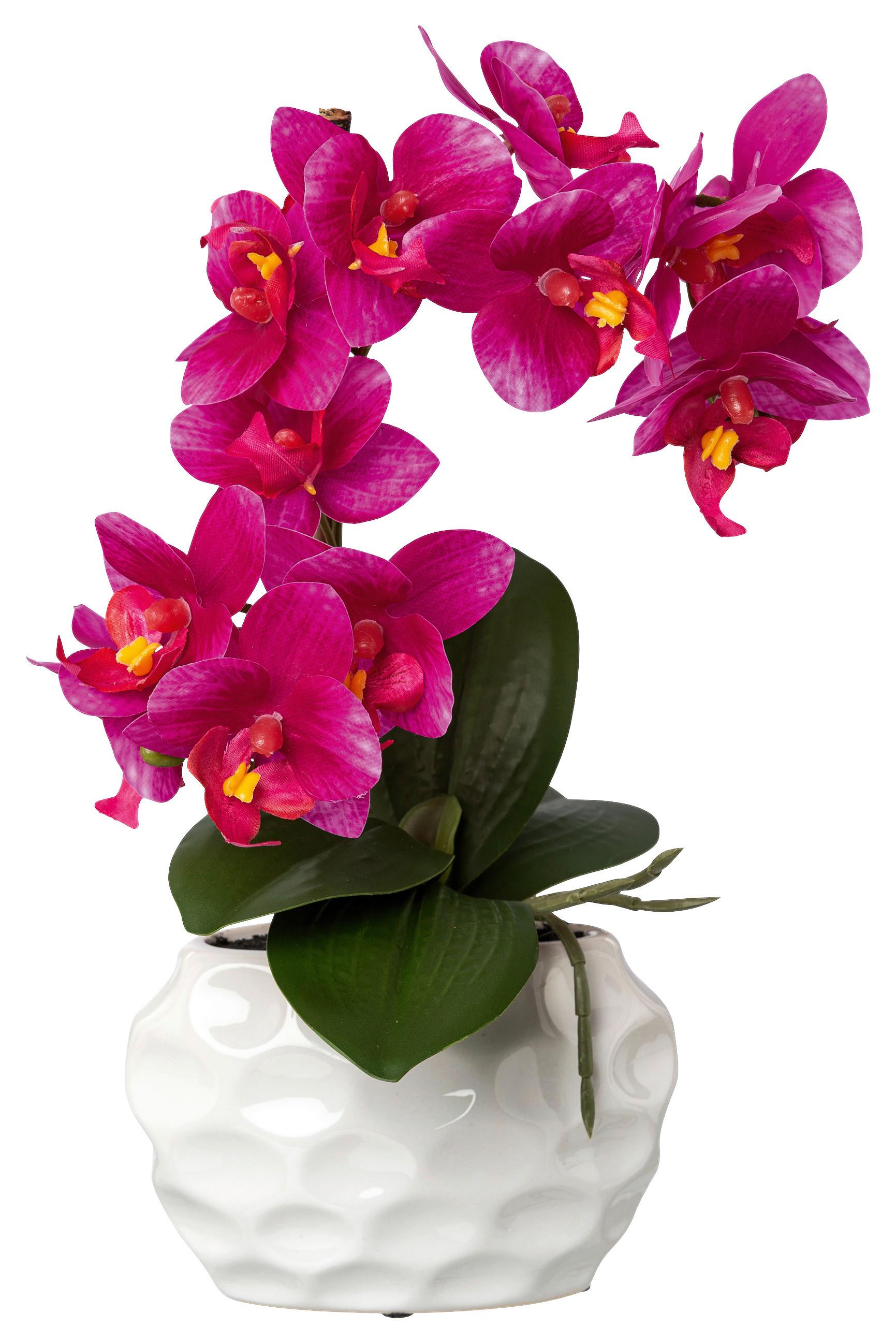 Kunstpflanze Orchideen Pink, Topf: Grün, H: 33 cm - Pink/Weiß, Design, Kunststoff (33cm) - P & B