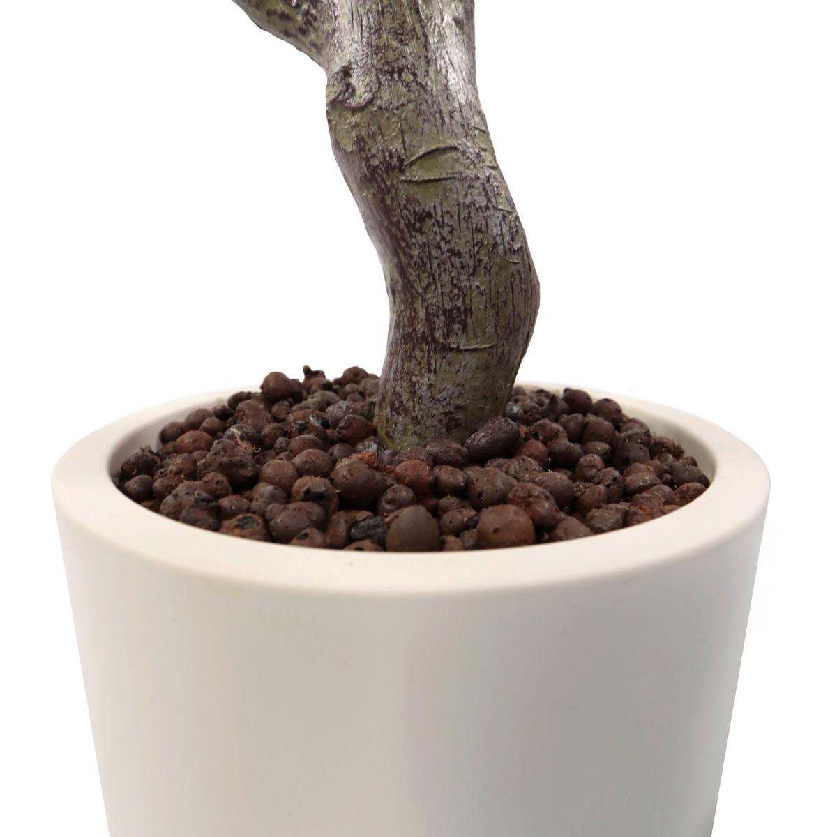 KUNSTPFLANZE Garcinia Creme B: 50cm - Creme/Grün, MODERN, Kunststoff (50/120/50cm) - MID.YOU