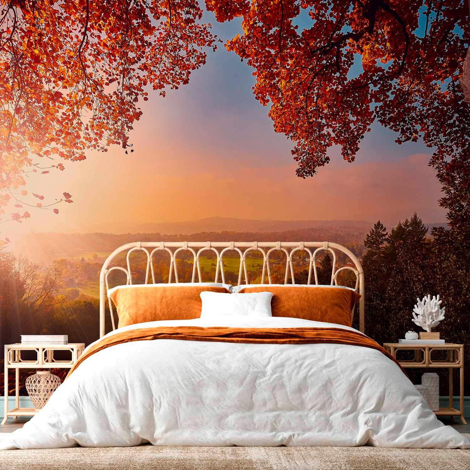 Fototapete Multicolor B: 100 cm - Multicolor, Basics, Textil (100/70cm) - artgeist