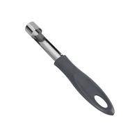 Apfelstecher Mateo, Aqua BxL: ca. 2,8x20,3 cm - Edelstahlfarben/Grau, Basics, Metall (2,8/20,3cm) - Metaltex