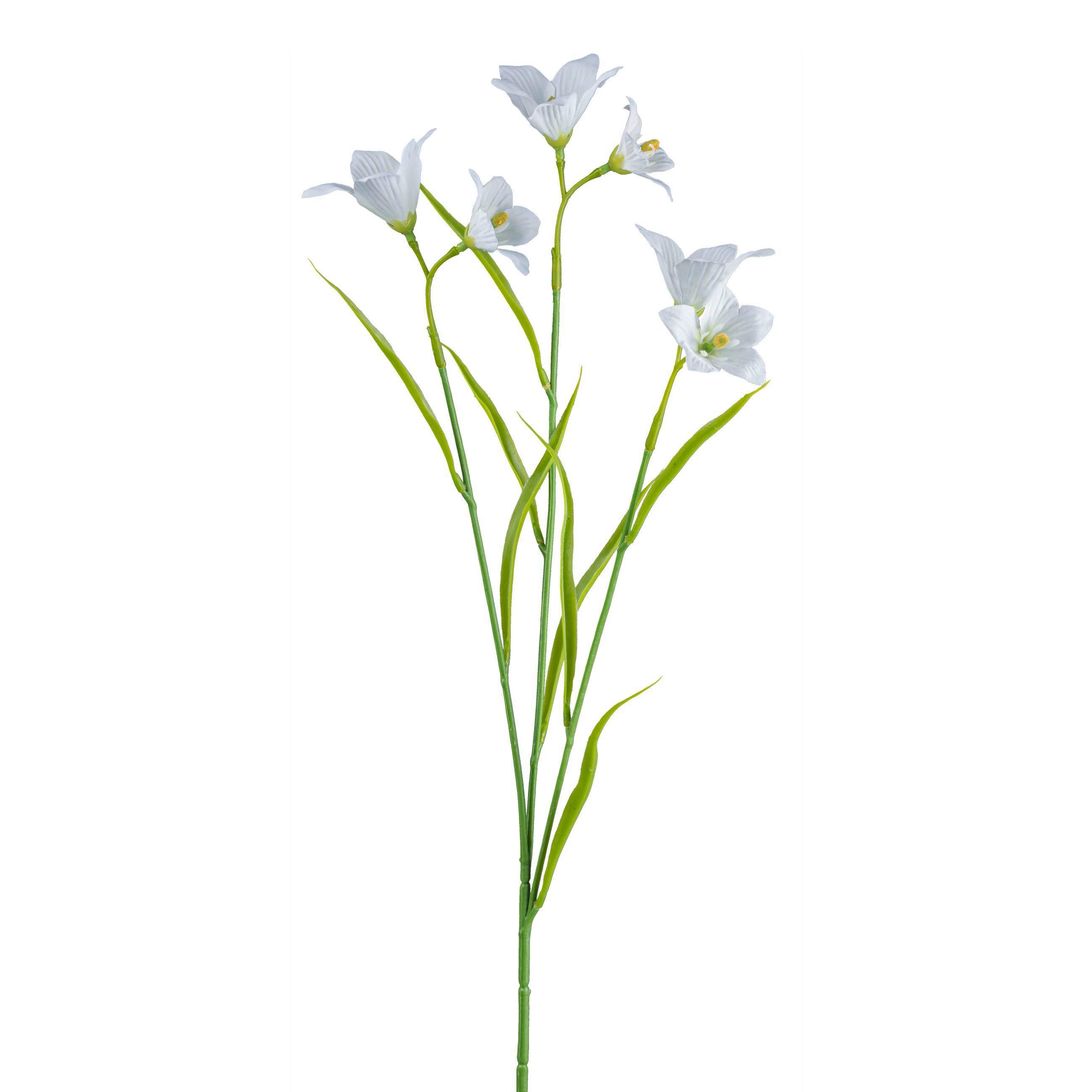 Kunstblume Alva - Weiß/Grün, KONVENTIONELL, Kunststoff (62cm)