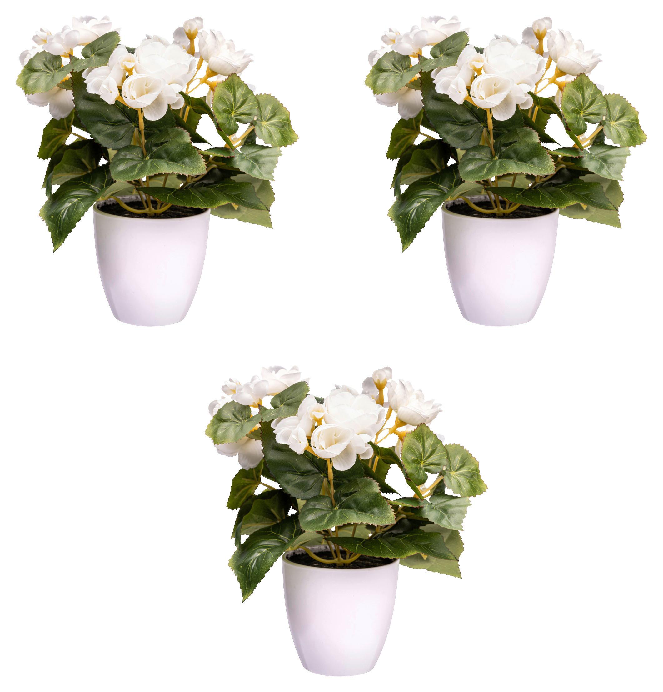 Kunstpflanze Blühpflanzen Creme/Grün/Weiß, 24 cm - Gelb/Creme, Design, Kunststoff (24cm) - P & B