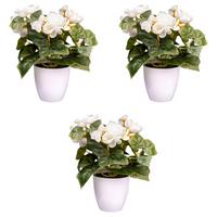 Kunstpflanze Blühpflanzen Creme/Grün/Weiß, 24 cm - Gelb/Creme, Design, Kunststoff (24cm) - P & B