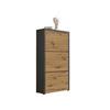 Schuhkipper Siena - Anthrazit/Silberfarben, MODERN, Holzwerkstoff (61/115/25cm) - MID.YOU