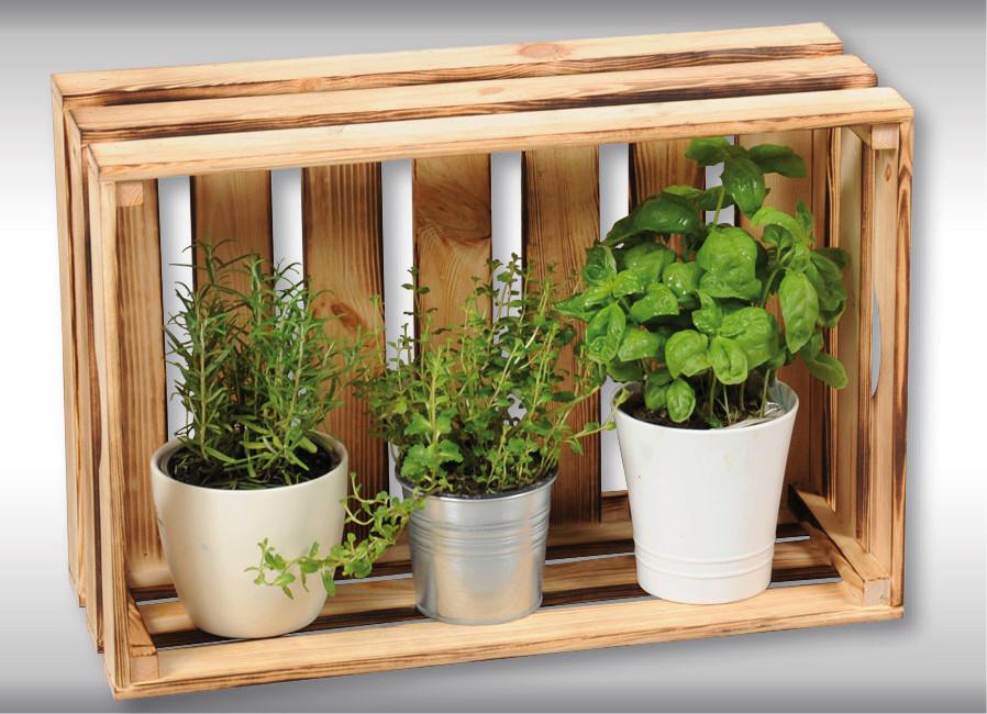 Aufbewahrungsbox für Weinflaschen von KESPER