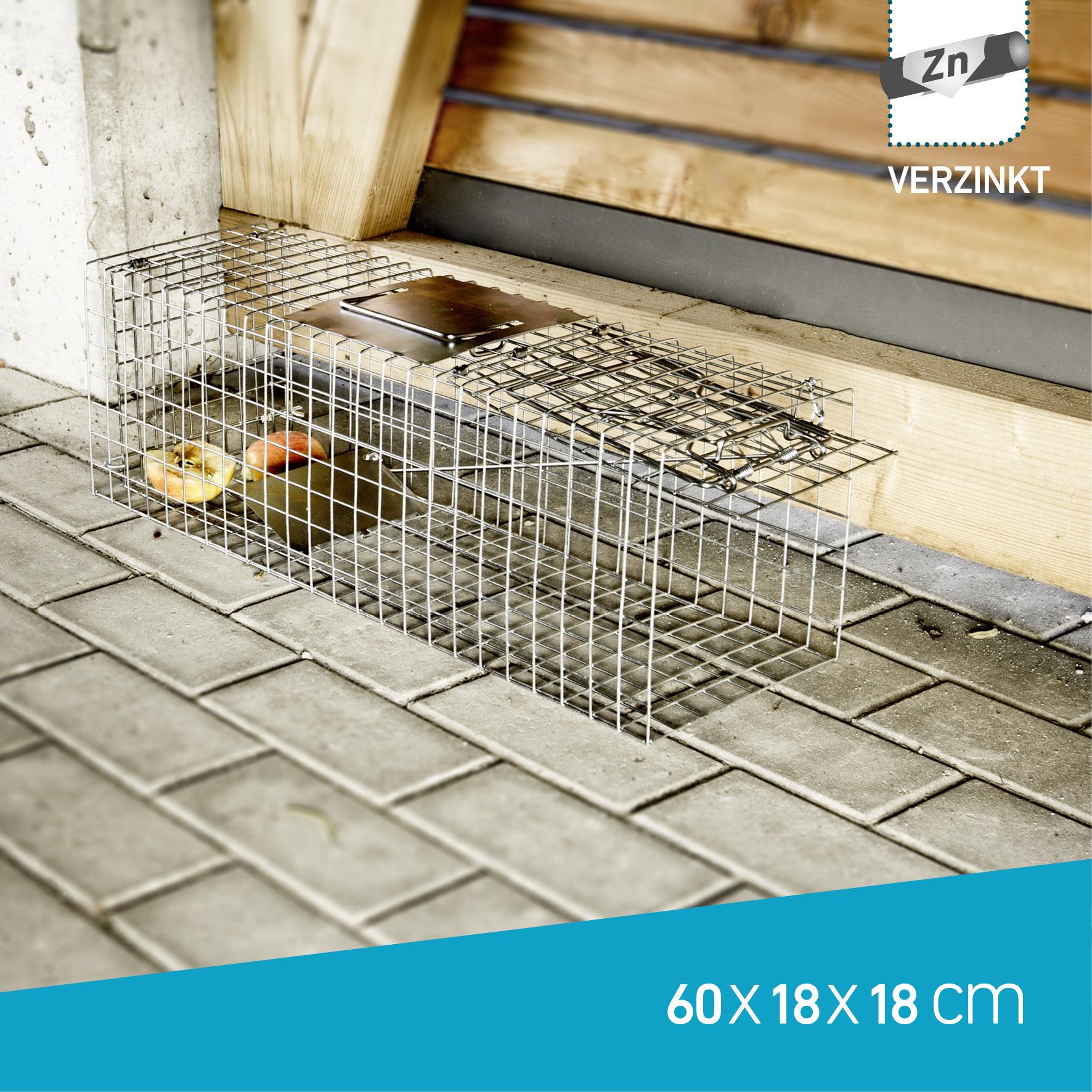 Lebendfalle von WINDHAGER