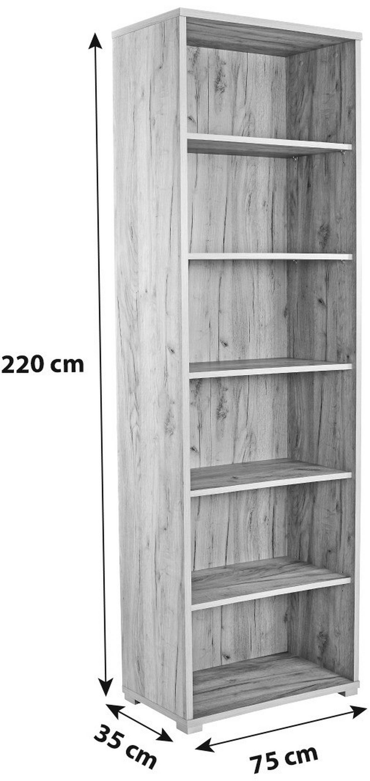 REGÁL NA DOKUMENTY PROFI - barvy dubu/barvy chromu, Moderní, kompozitní dřevo/plast (75/220/35cm) - Ondega