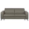 Schlafsofa Aloe Echtleder Schlammfarben B: 204 cm - Schlammfarben/Silberfarben, Design, Leder (204/84/104cm) - Livetastic