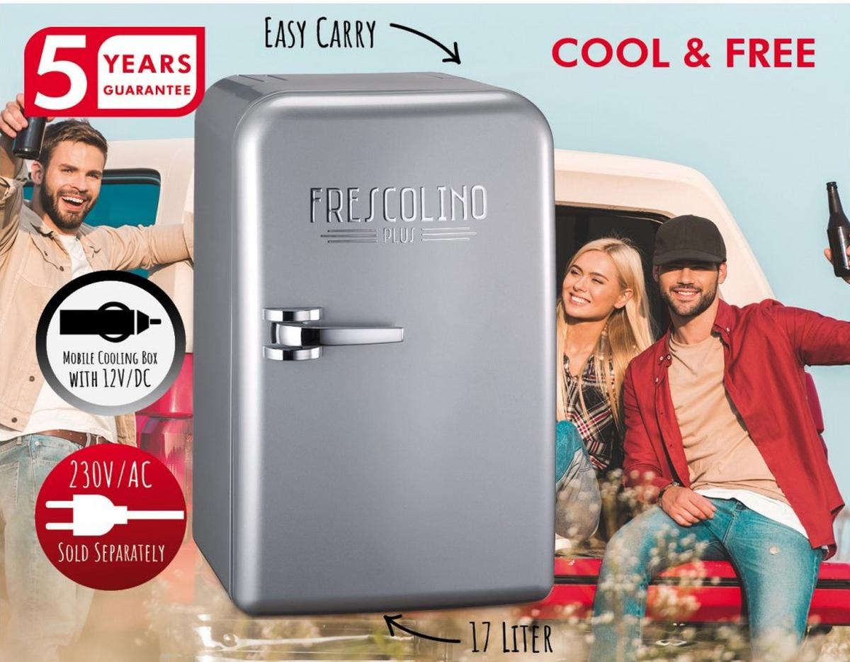 Kühlbox 17 Liter Frescolino P Plus Tragegriff Silberfarben - Silberfarben, KONVENTIONELL, Kunststoff (32/28,5/46cm) - Trisa Electronics