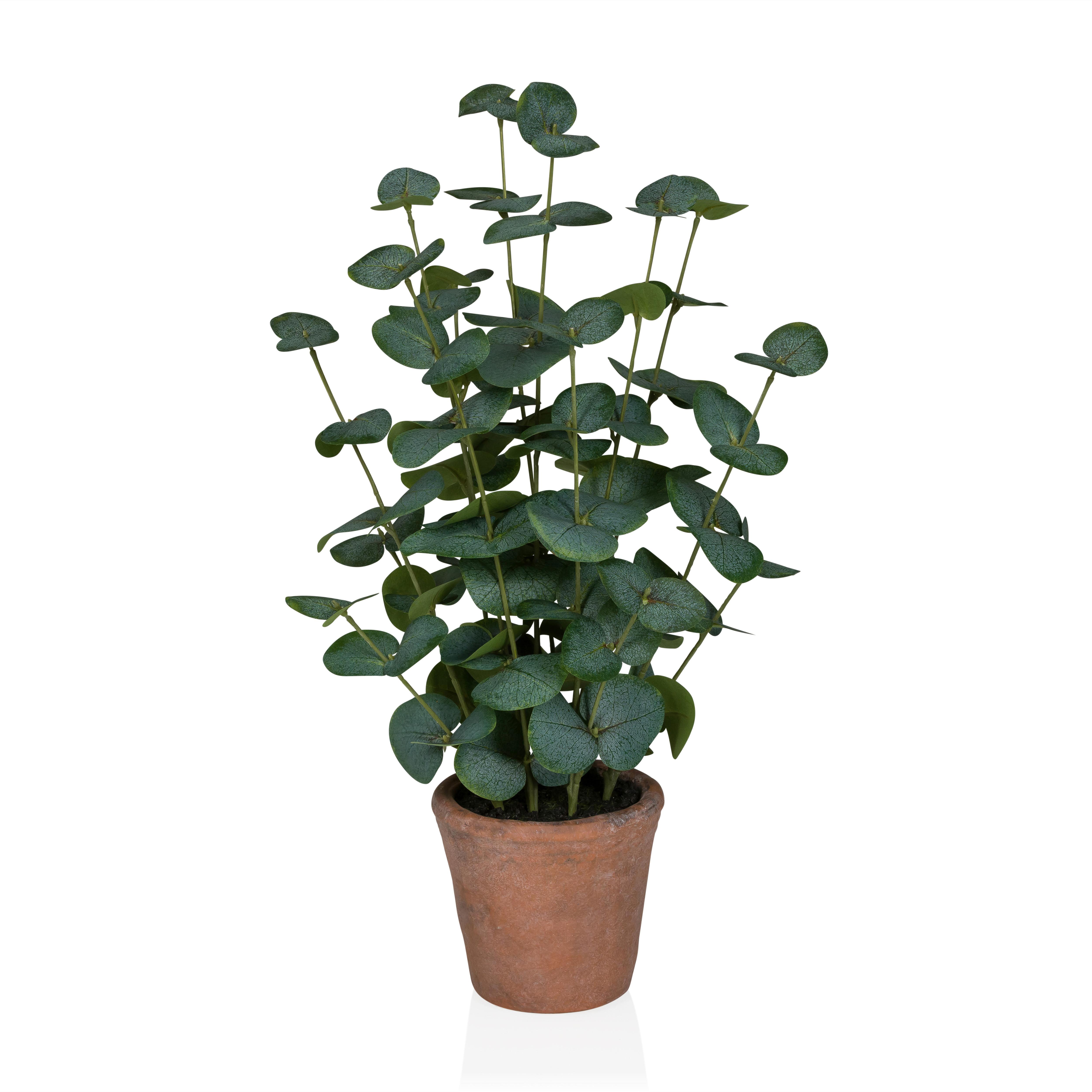 KUNSTPFLANZE Eucalyptus Grün B: 20cm - Bronzefarben/Grün, MODERN, Kunststoff (20/48/20cm) - MID.YOU