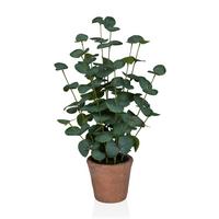 KUNSTPFLANZE Eucalyptus Grün B: 20cm - Bronzefarben/Grün, MODERN, Kunststoff (20/48/20cm) - MID.YOU