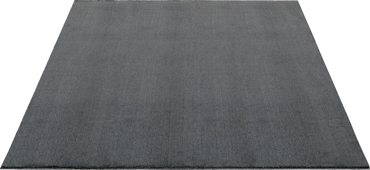 Fellteppich Loft - Anthrazit, KONVENTIONELL, Textil (60/110cm)