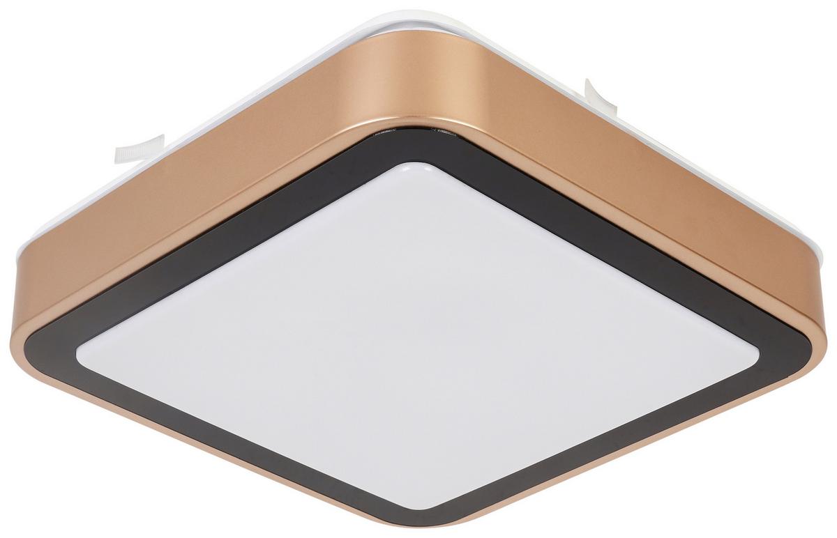 STROPNÍ LED SVÍTIDLO RONDO - bílá/černá, Romantický / Rustikální, kov/plast (27/27/8cm) - Modern Living