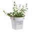 Kvetináč Fleur De Paris - biela, Romantický / Vidiecky, kov (18,5cm) - Mömax modern living Kvetináč Fleur De Paris - biela, Romantický / Vidiecky, kov (18,5cm) - Mömax modern living