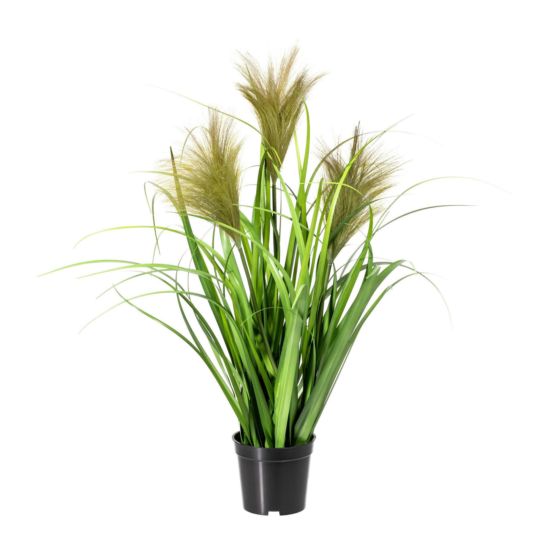 Kunstpflanze Schilfgras Grün, inkl. Topf, H: 60 cm - Schwarz/Grün, Basics, Kunststoff (60cm) - P & B