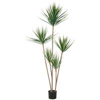 Kunstpflanze Dracaena Draco Kunststoff, Grün, H: 165 cm - Schwarz/Braun, Basics, Kunststoff (165cm) - P & B