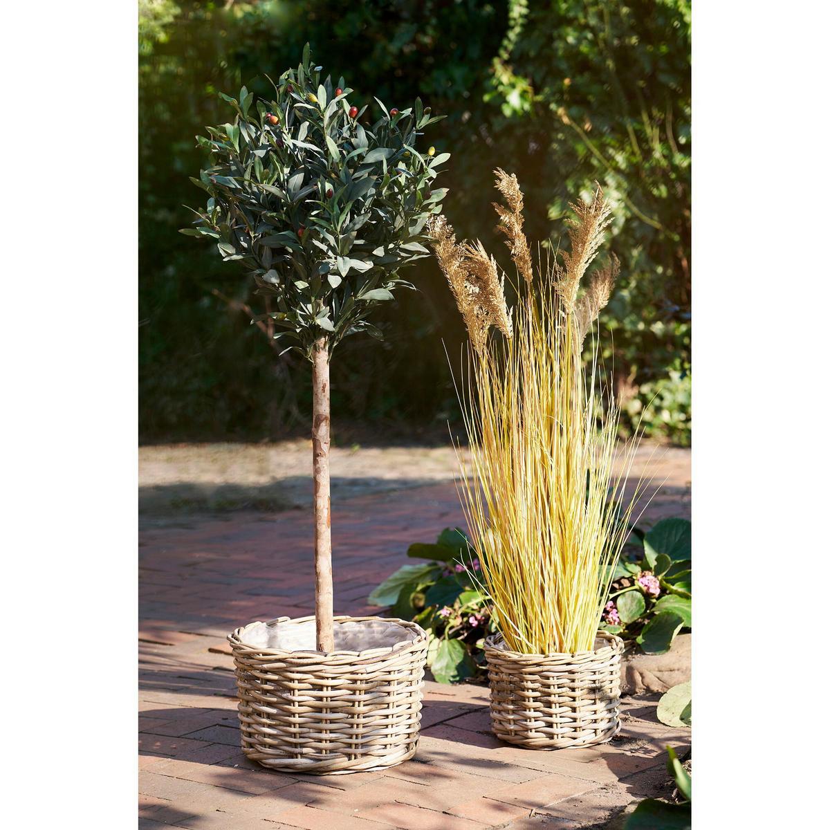 Korbset Kalak Natur, 2-teilig - Klar/Naturfarben, Basics, Holz/Kunststoff